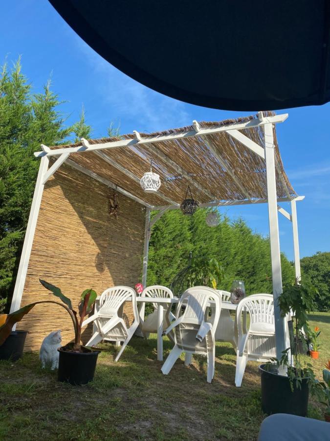 Au Paradis D'Alsace 55 M2 Nature & Relax Ingwiller Exterior photo